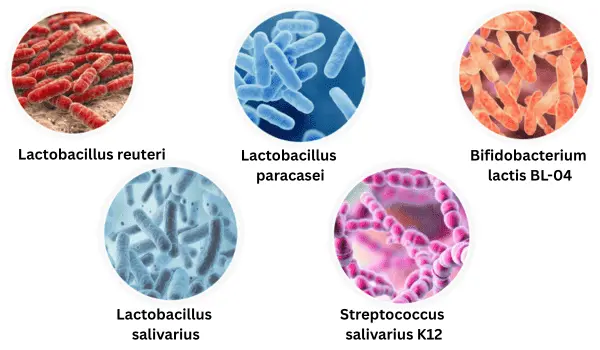 dentavive ingredients